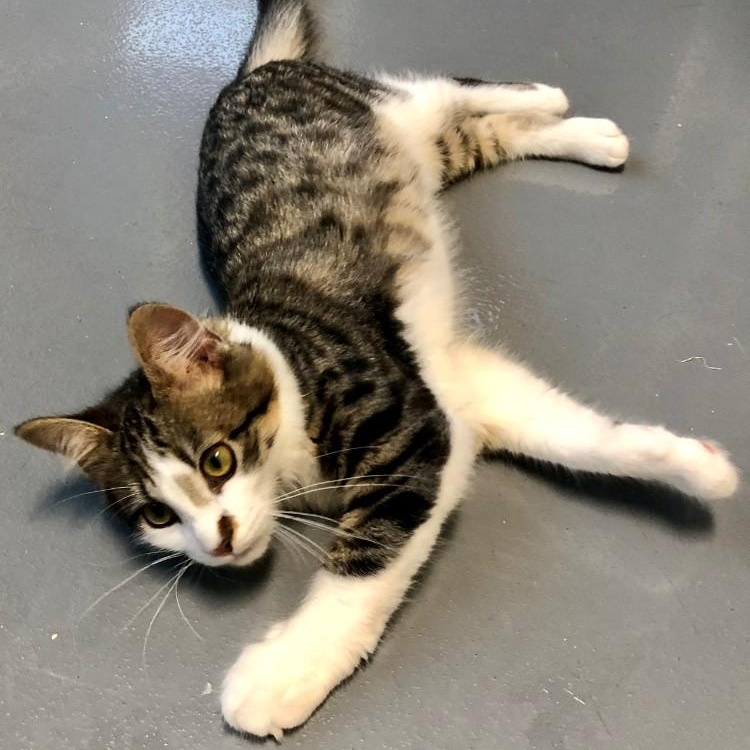 Donnie — thumbnail 2