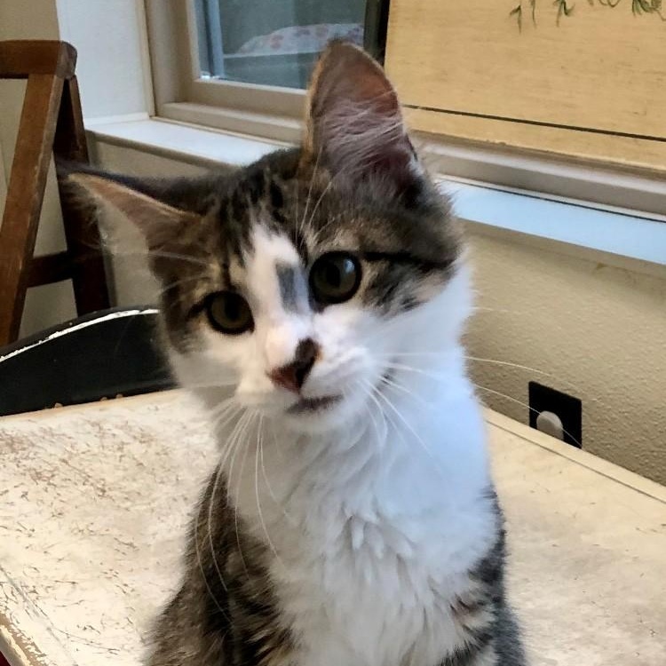 Donnie — thumbnail 3