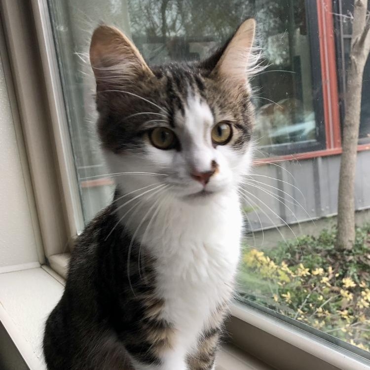 Donnie — thumbnail 5