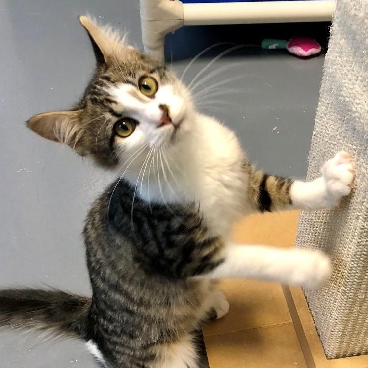 Donnie — thumbnail 6