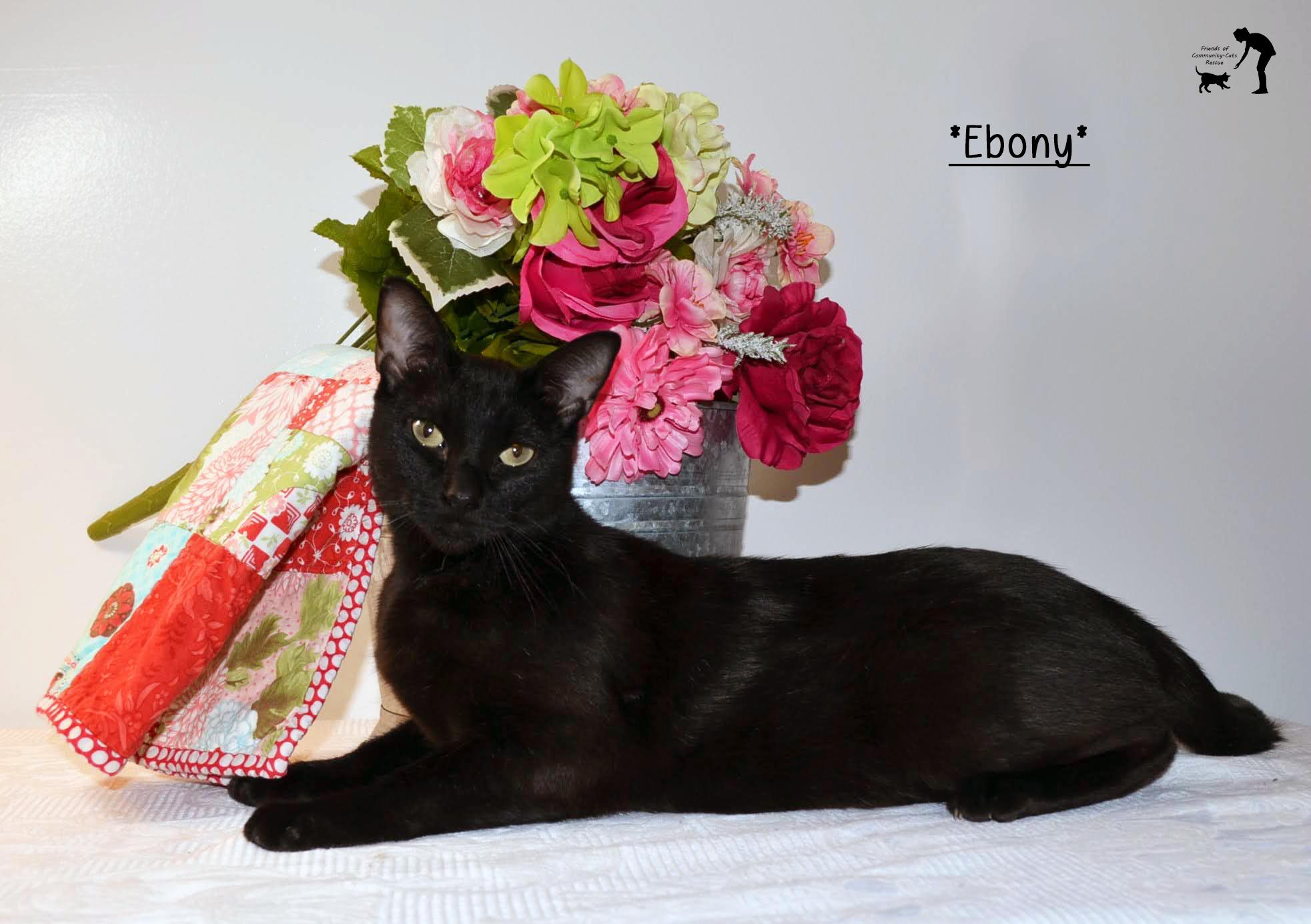 Ebony