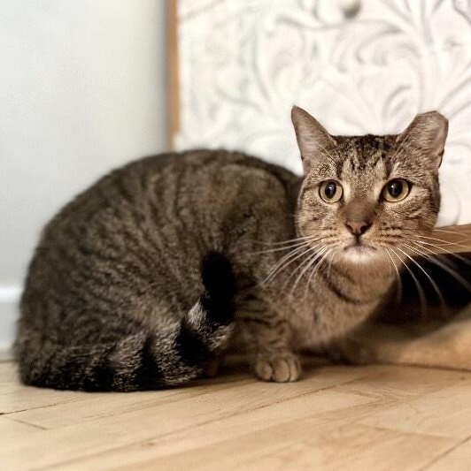 Berlin — thumbnail 2