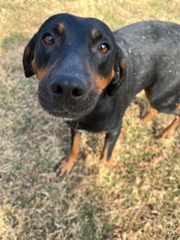 Jill — thumbnail 2