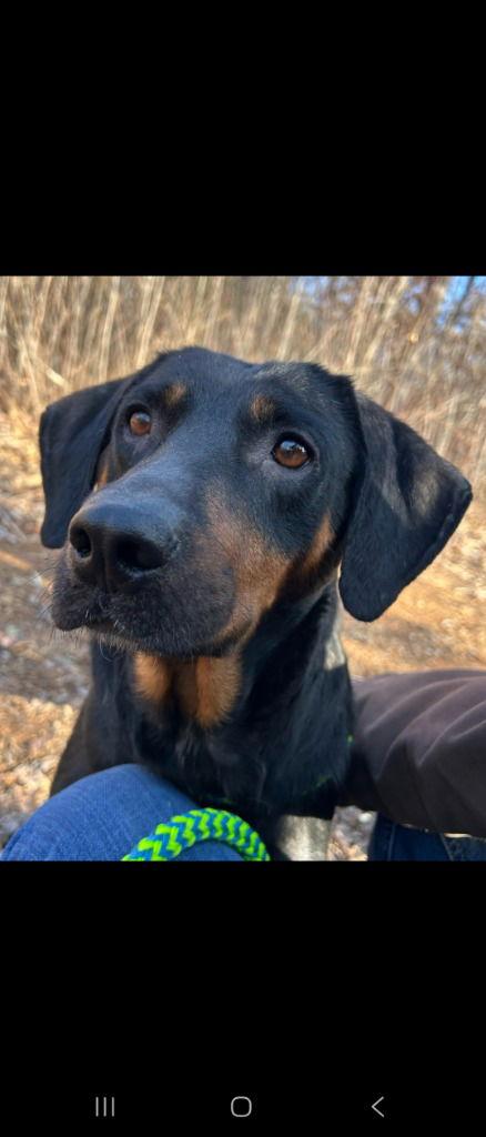 Jill — thumbnail 3