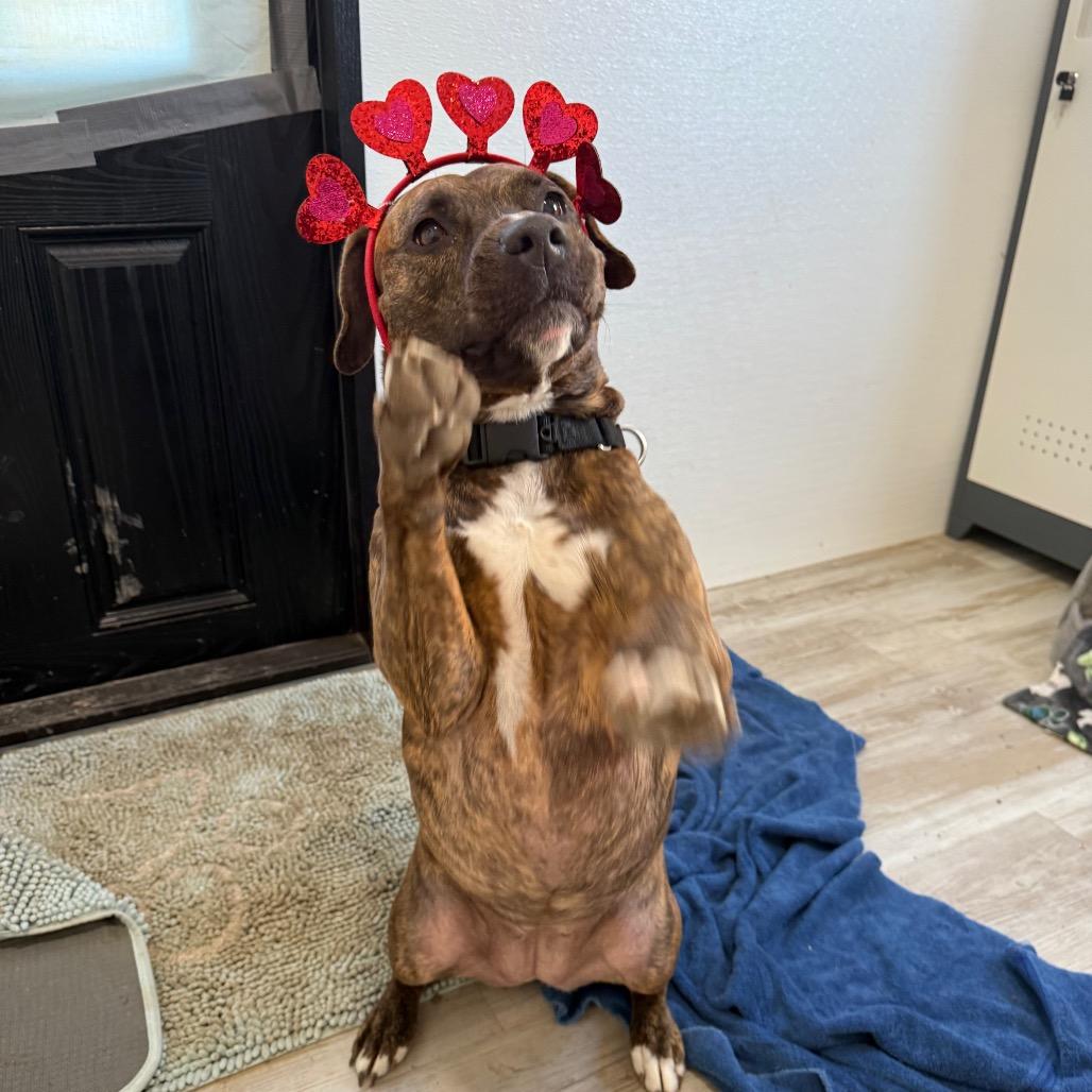 Clemmy Lou — thumbnail 4