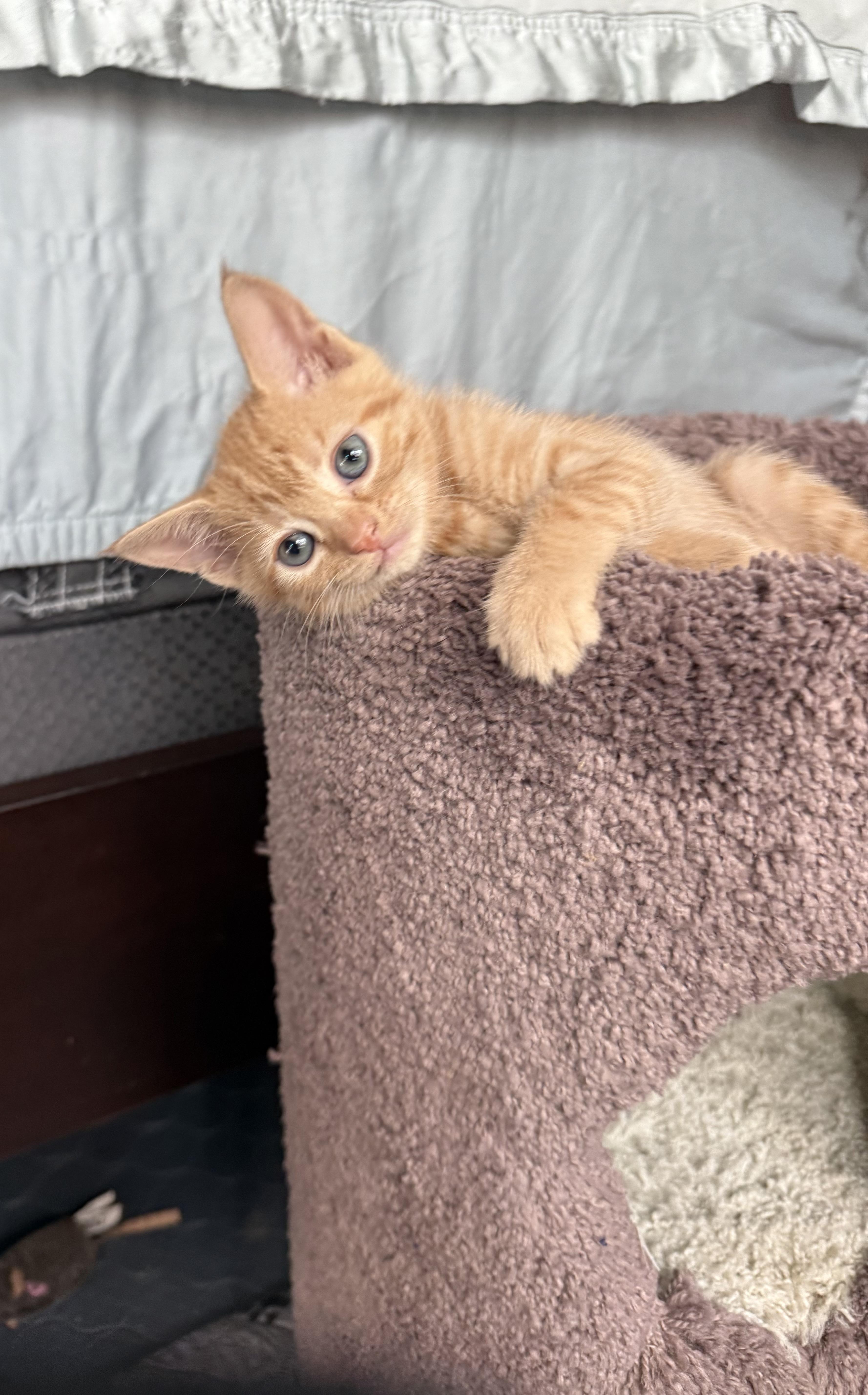 Stick & Flux thumbnail 4