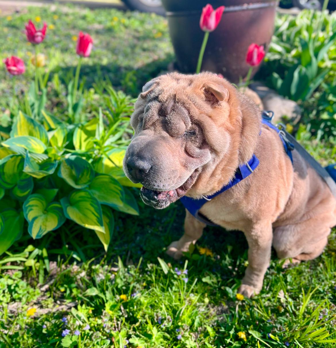 Mabel photo 4