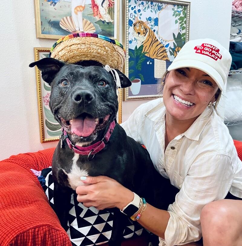 Polly Anna the Princess of lap snuggles and giggles — thumbnail 2