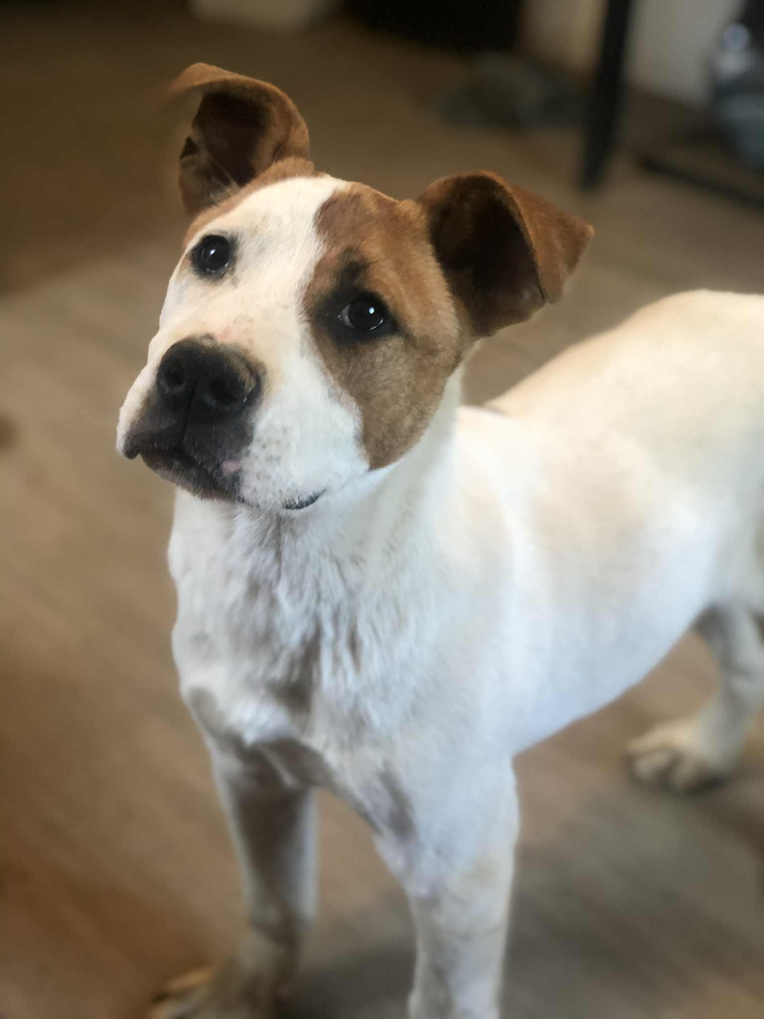 Luke