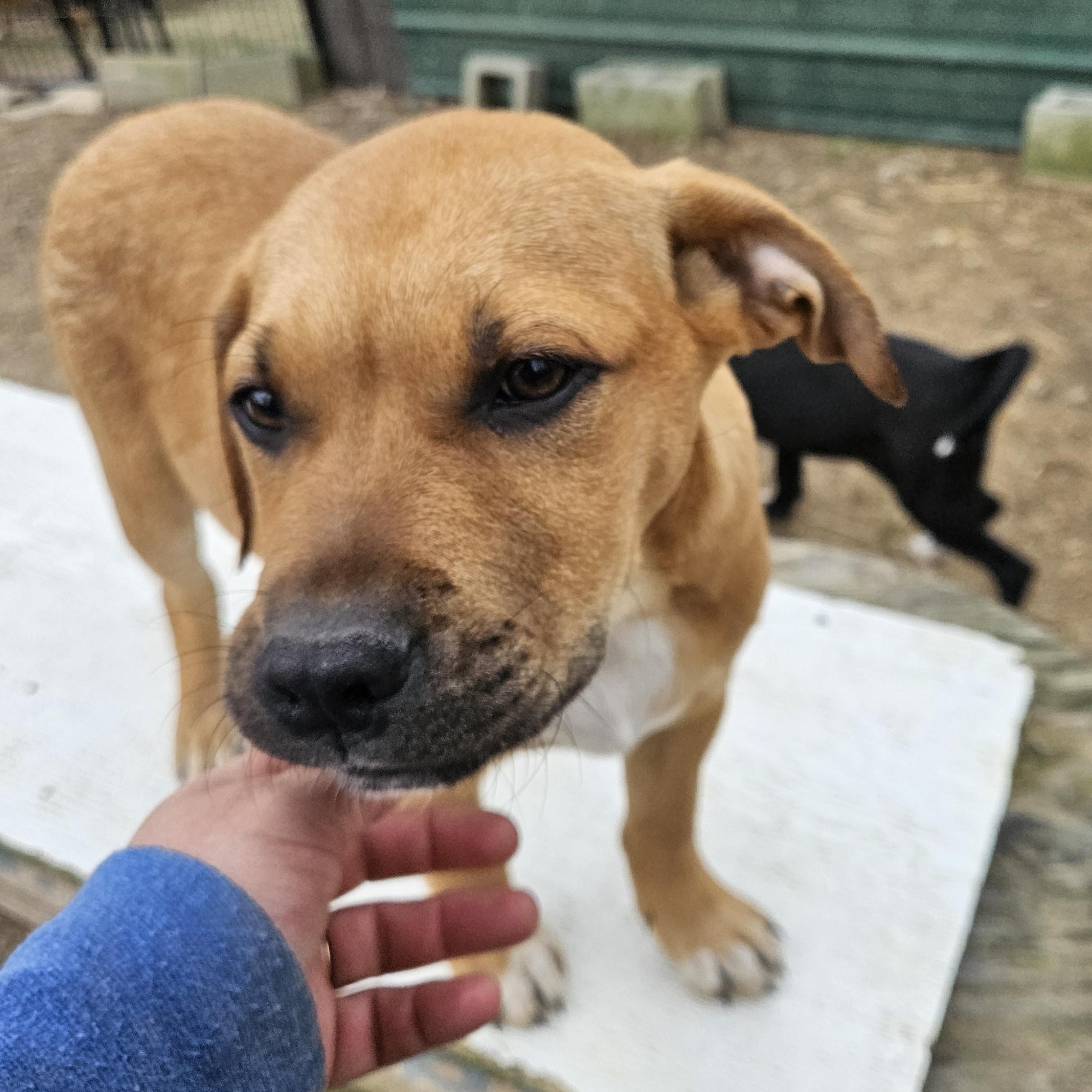 Jumbo Zoom — thumbnail 2