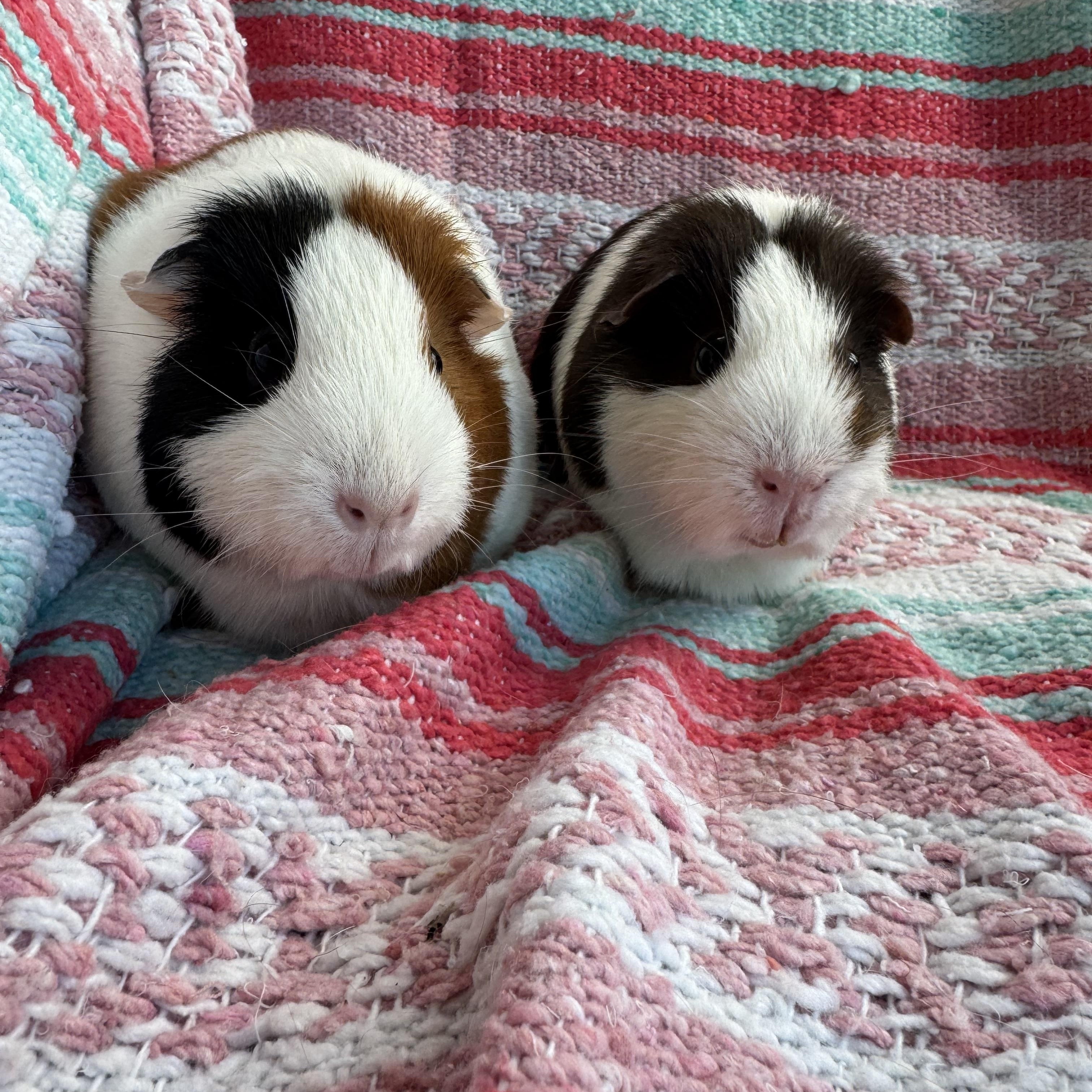 Abigail and Rena photo 3