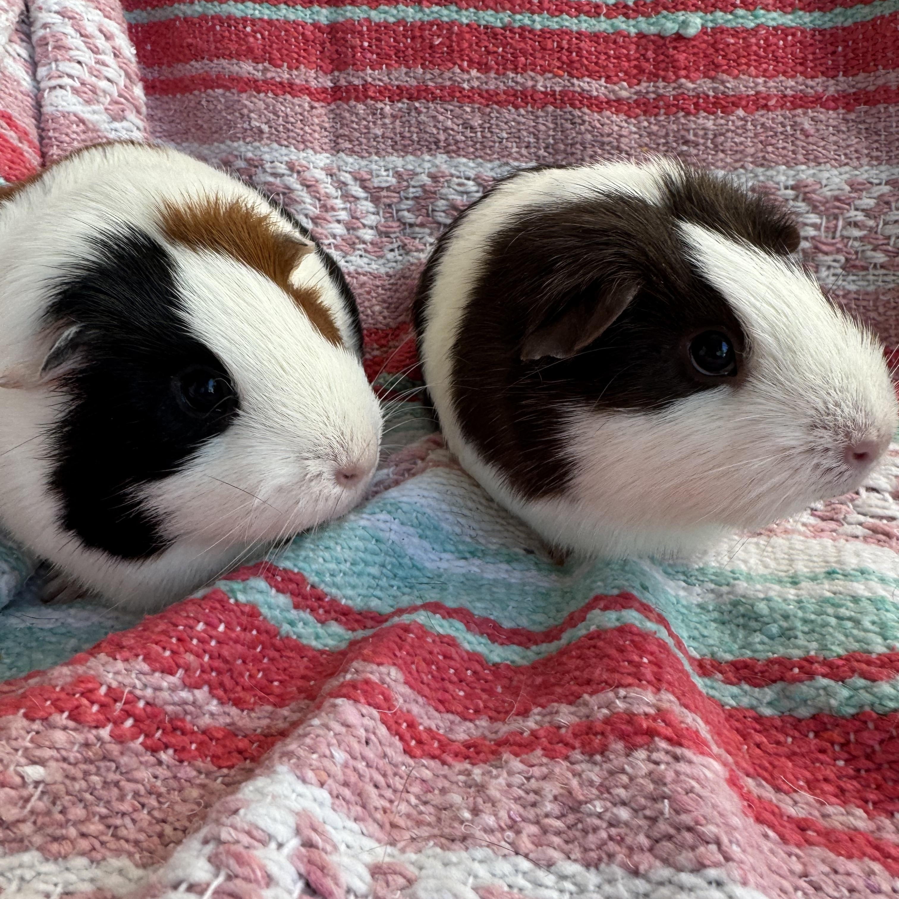 Abigail and Rena photo 2