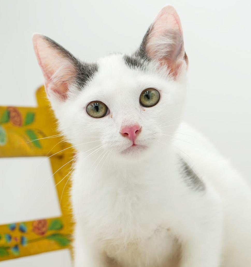 Timmy! Terrific Fun Mushy Snugglebug!