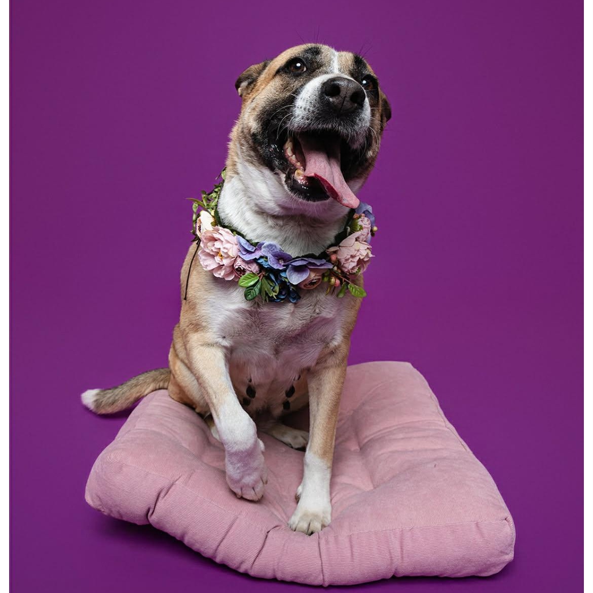 FAITH GS — thumbnail 3