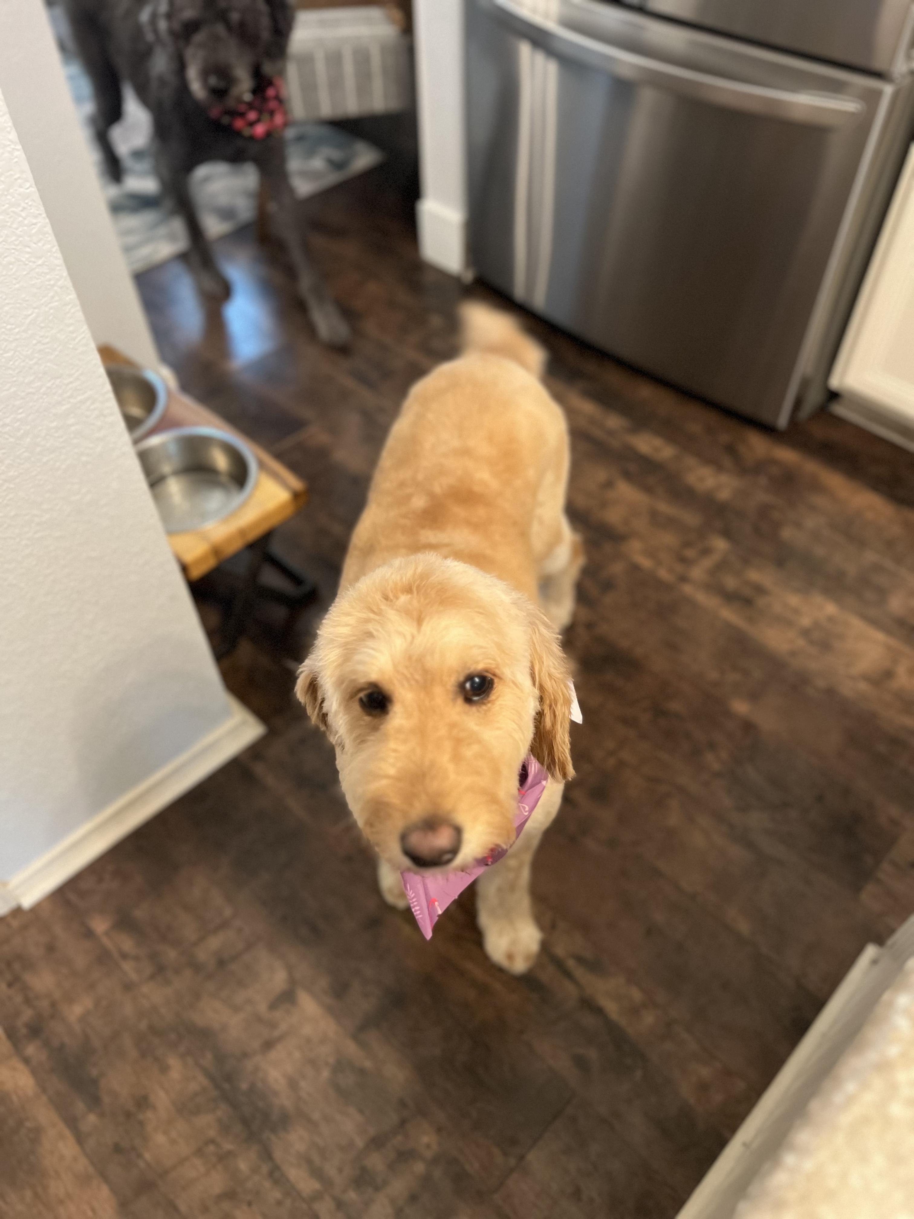 Ellie