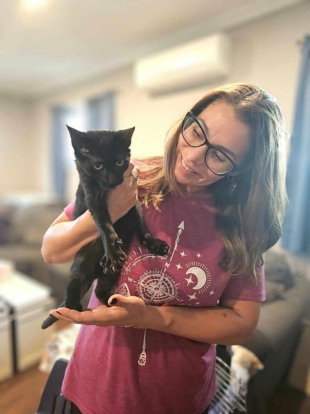 Jet, Adopted, Kitten Male Domestic Short Hair.