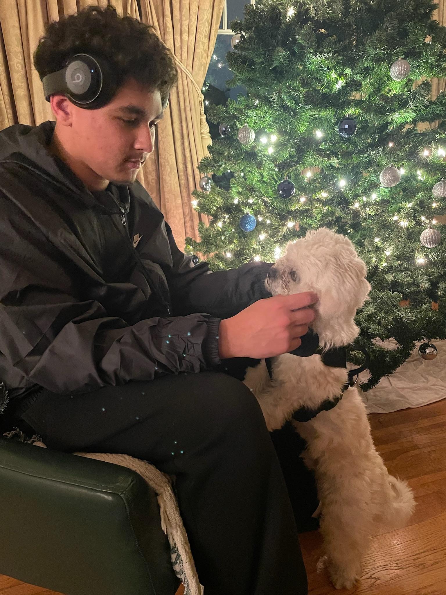 Biscuit , a ADOPTABLE Maltipoo in Los Angeles , CA image 2/6