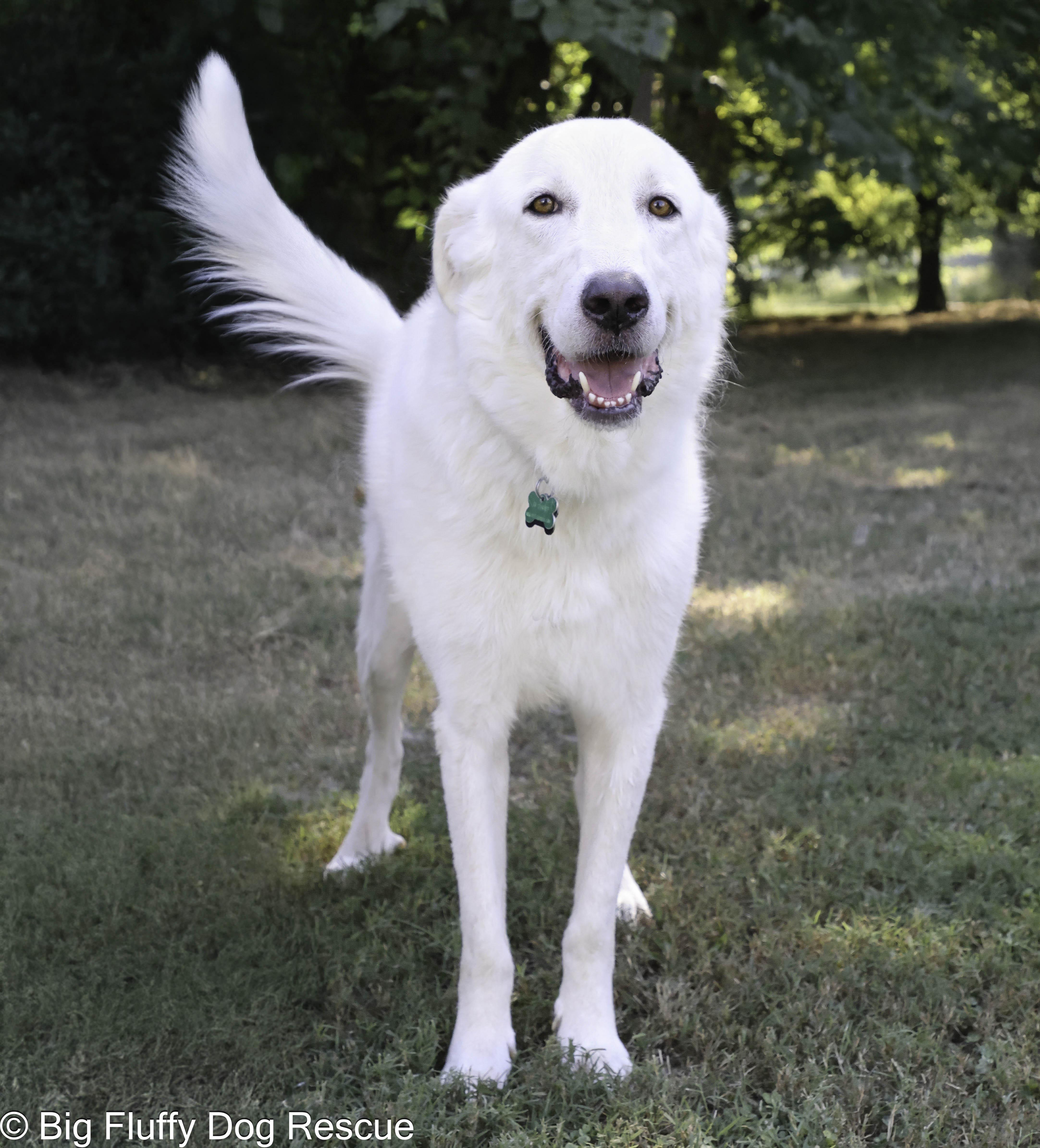 William — thumbnail 3