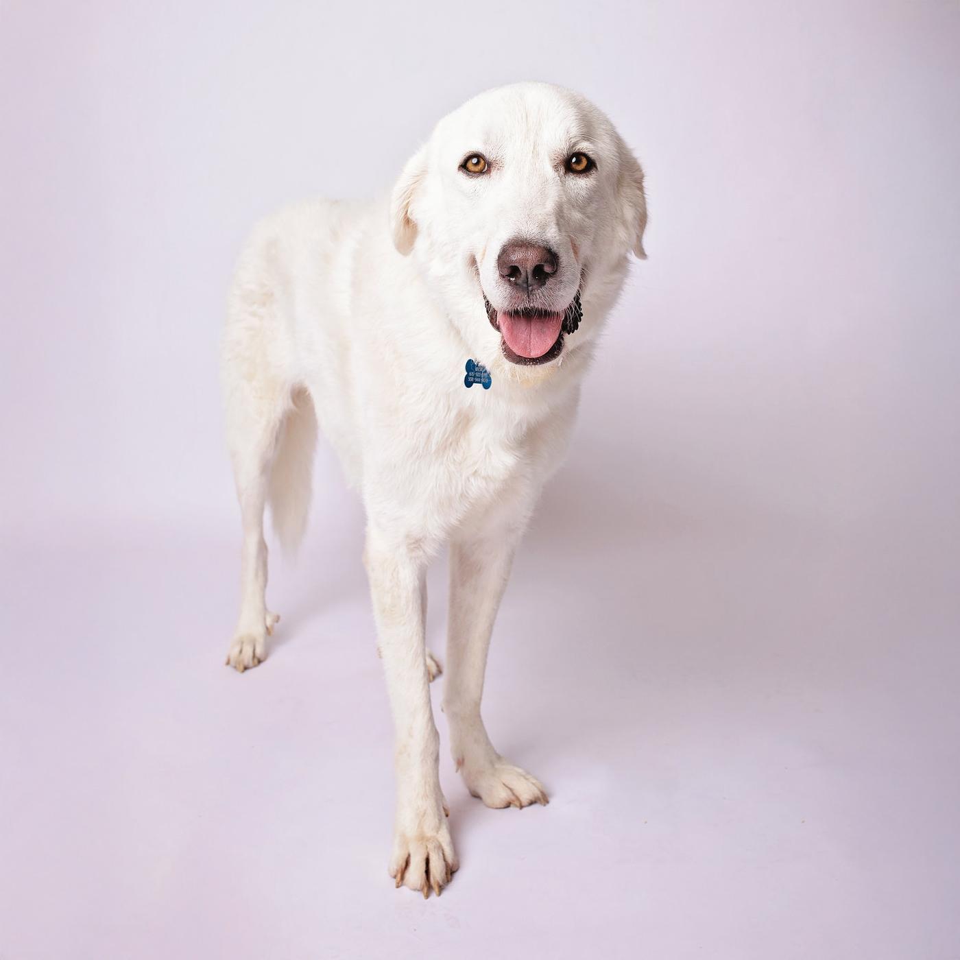 William — thumbnail 4