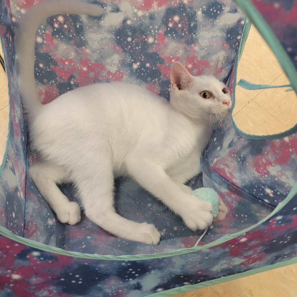 Ruben — thumbnail 4