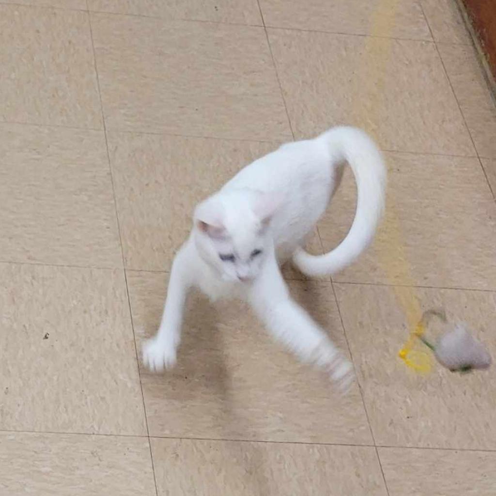 Ruben — thumbnail 5