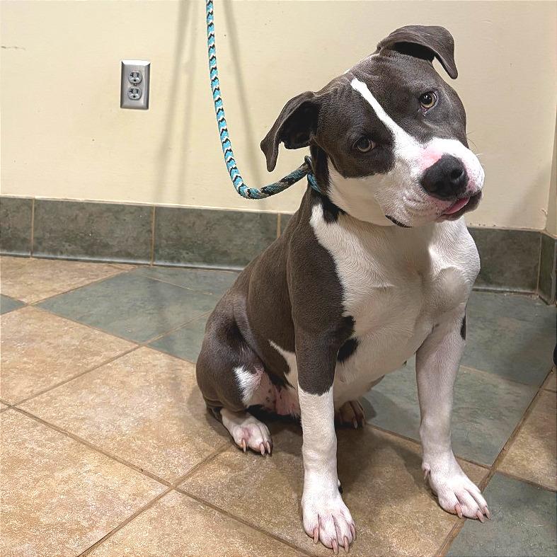 Luna Moon — thumbnail 5