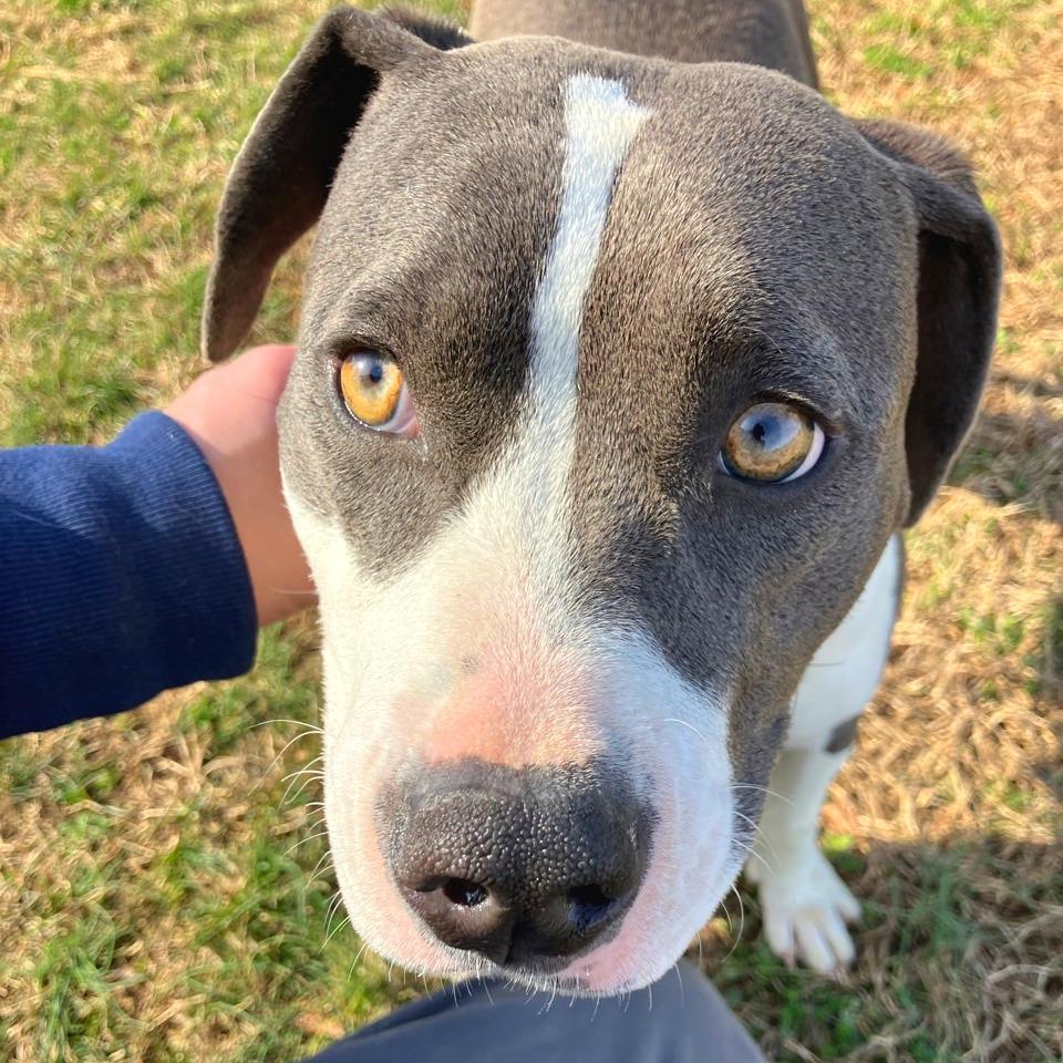 Luna Moon — thumbnail 6