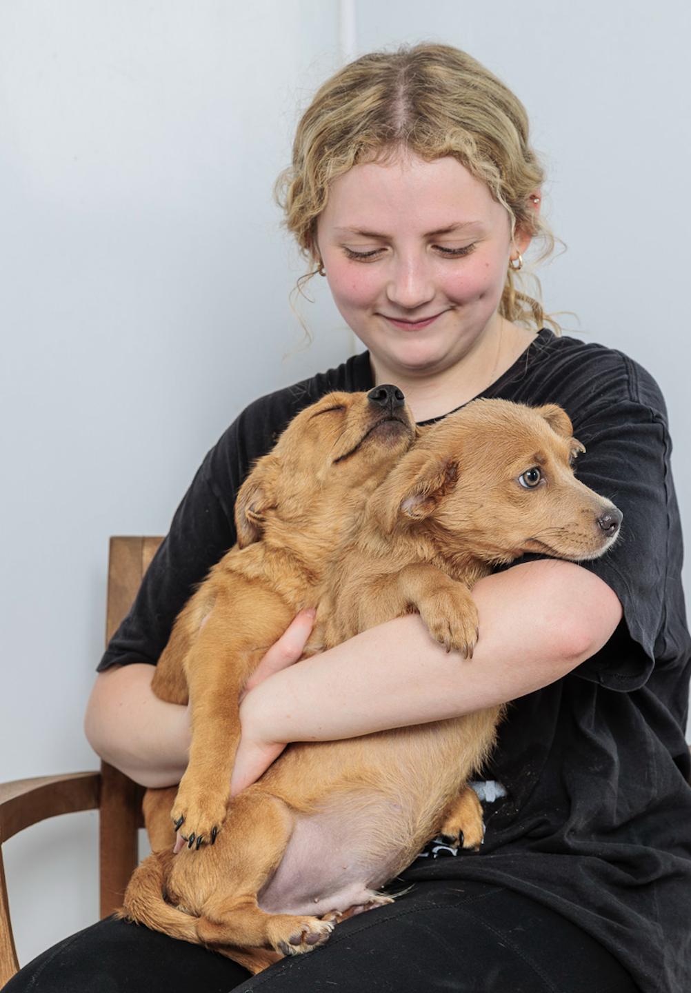 Enlarge Buzz and Woody, a Adoptable mixed breed in Chester Springs, PA image 1/1