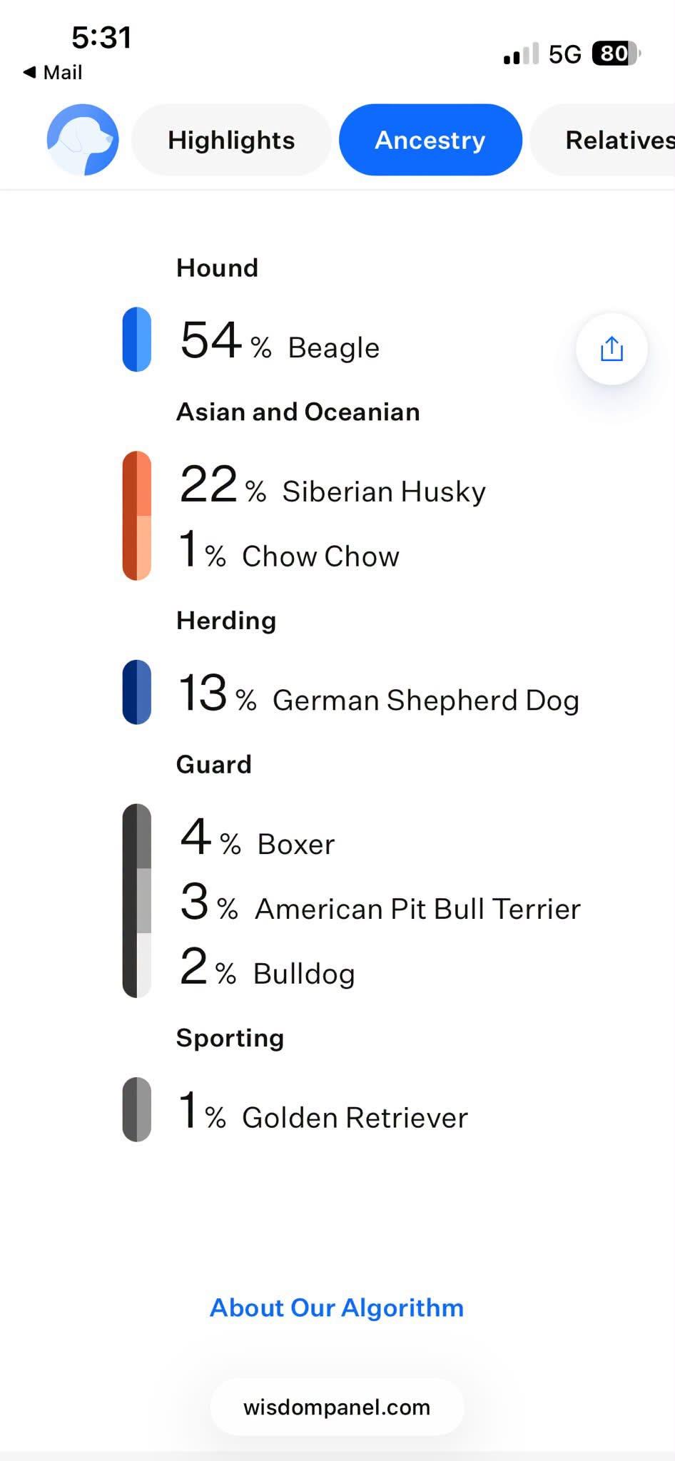 Enlarge Izzy, a Adoptable mixed breed in Muncie, IN image 3/6