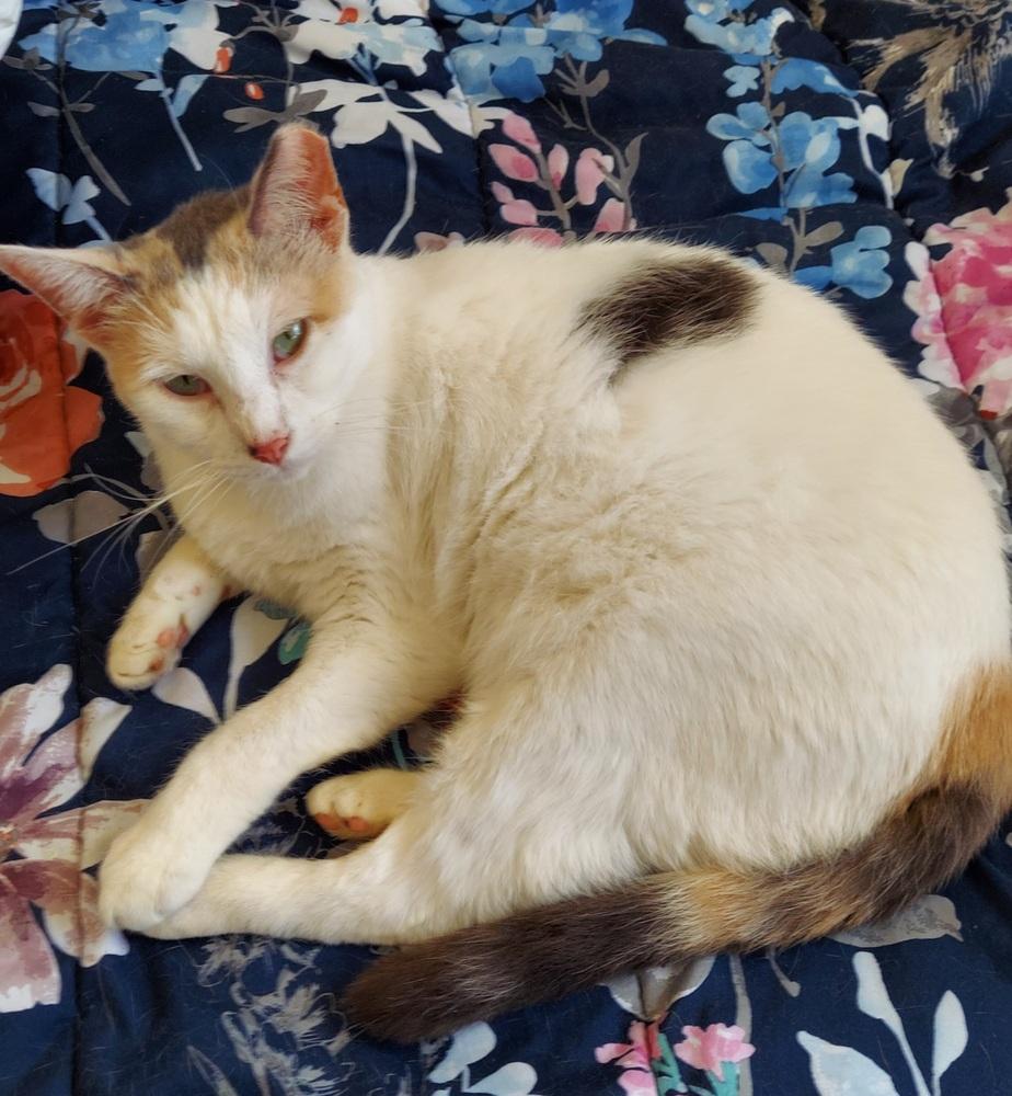 Moira — thumbnail 5