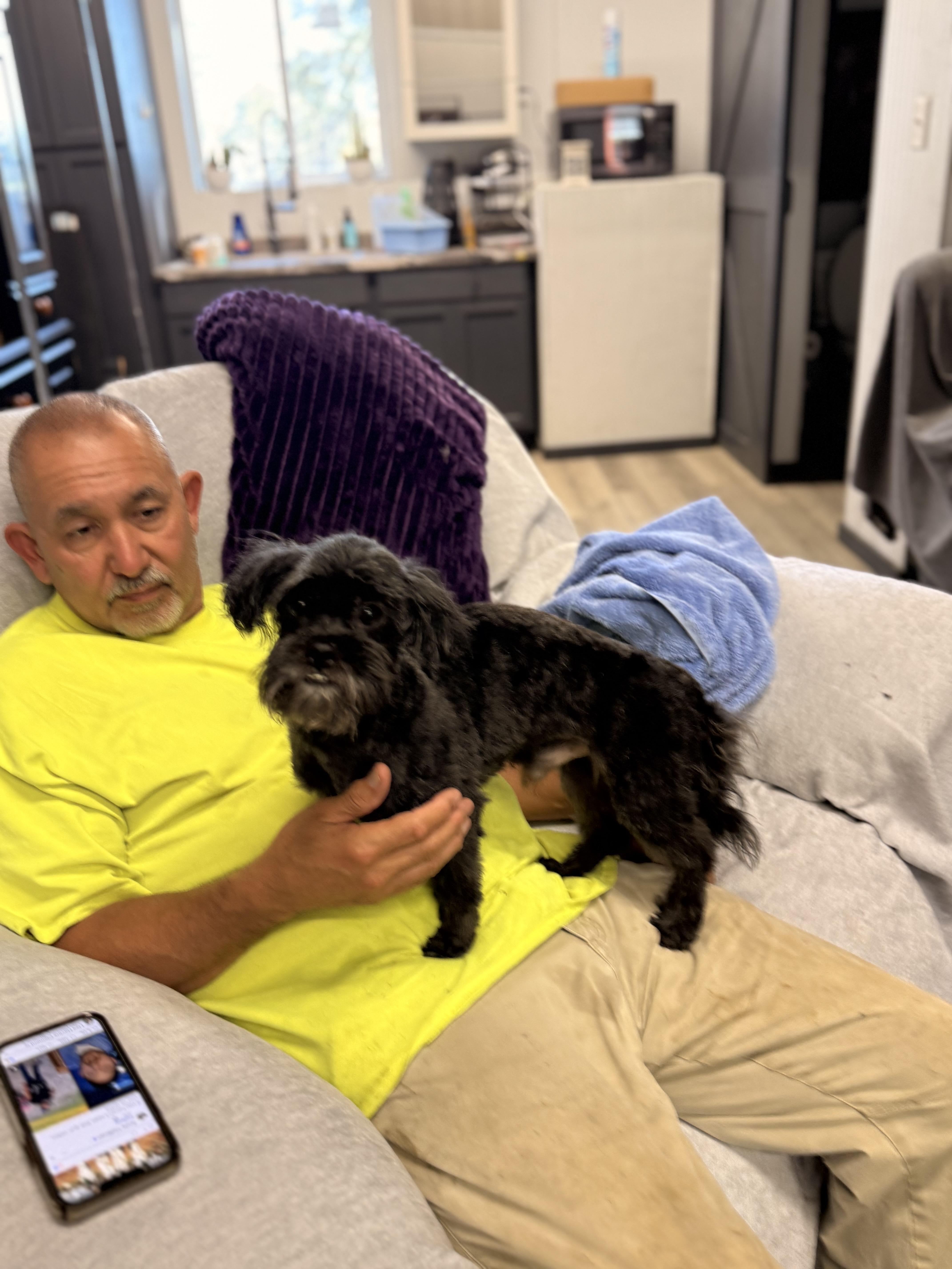 Midas, a ADOPTABLE mixed breed in Texarkana, TX image 3/6