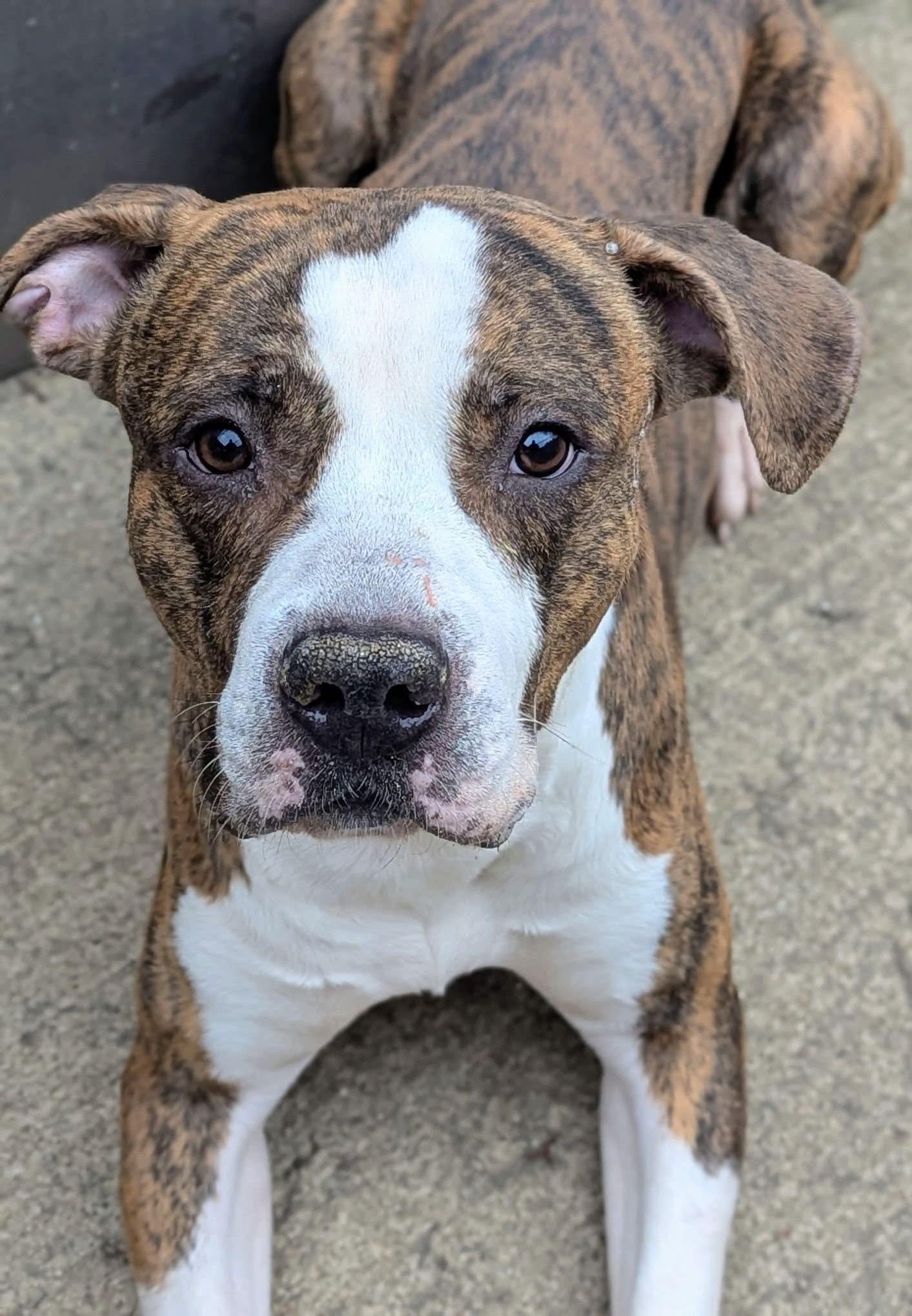 Hanson — thumbnail 2