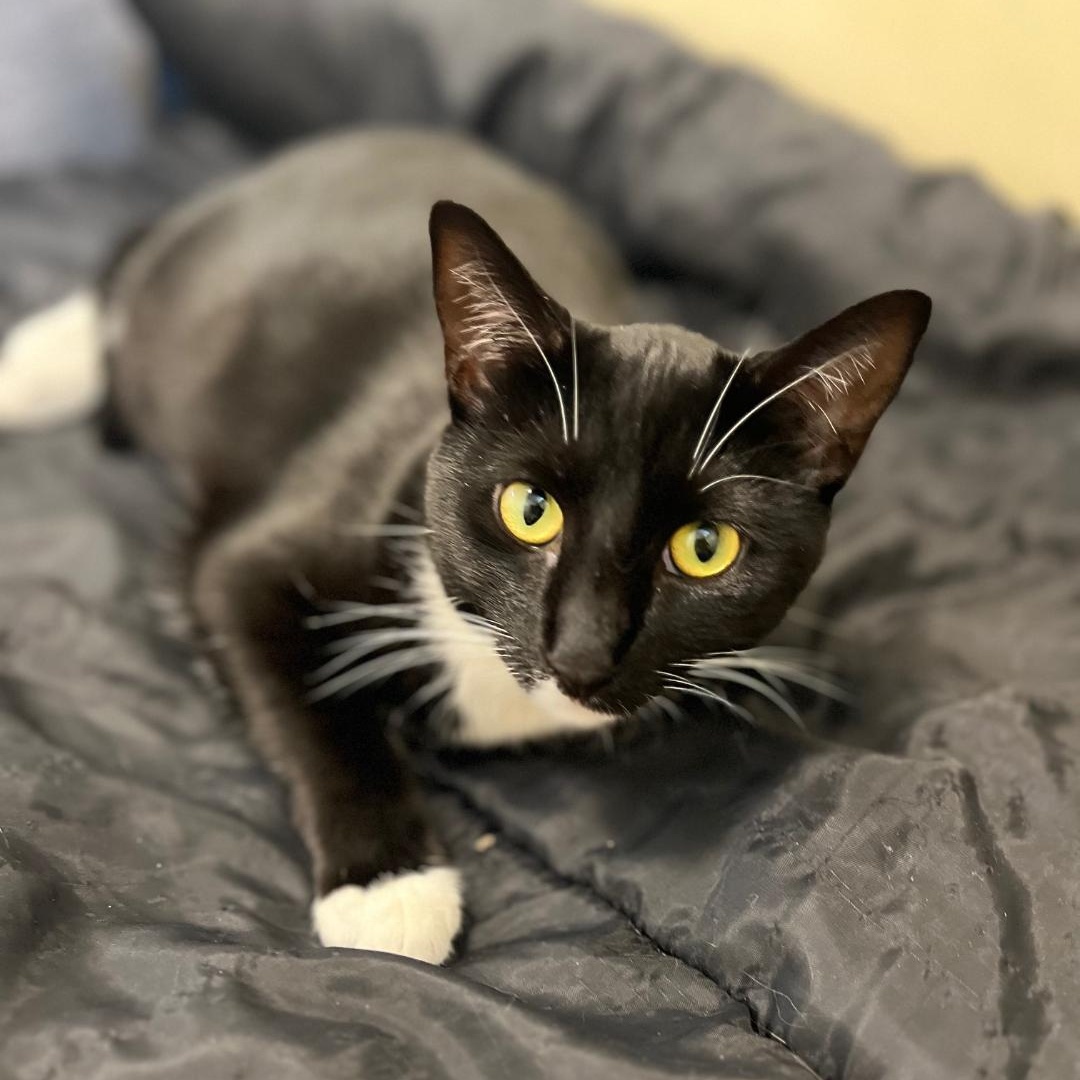 Logan