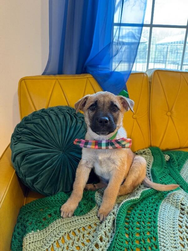 Flurry Rain — thumbnail 2