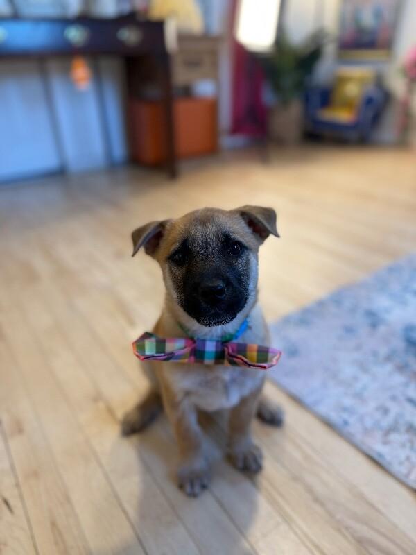 Flurry Rain — thumbnail 4