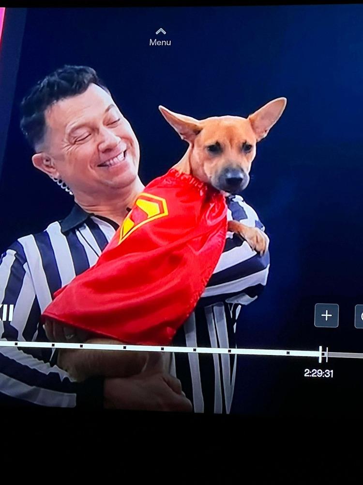 Enlarge Miss Coco, a Adoptable mixed breed in Valley Stream, NY image 4/6