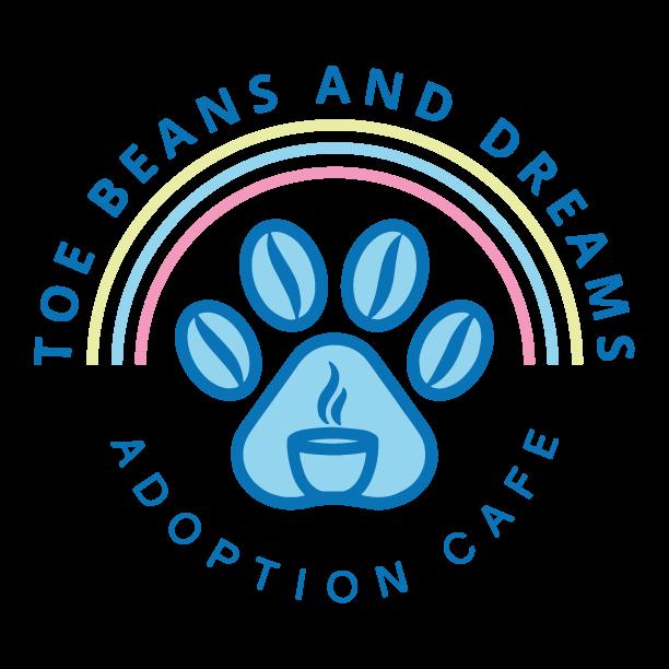 Peter, Adopted, Young Male Domestic Short Hair.