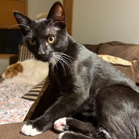 Dewey