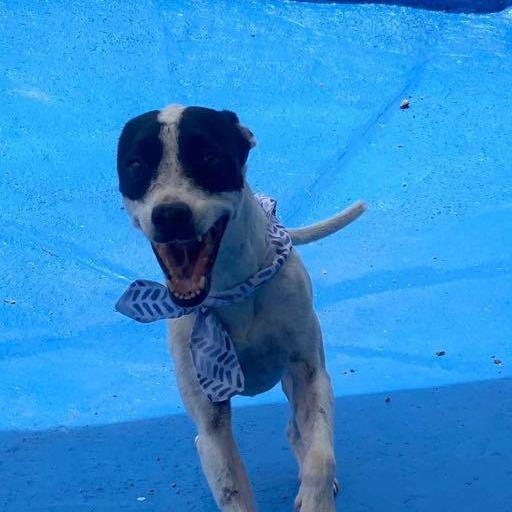 Duri — thumbnail 5