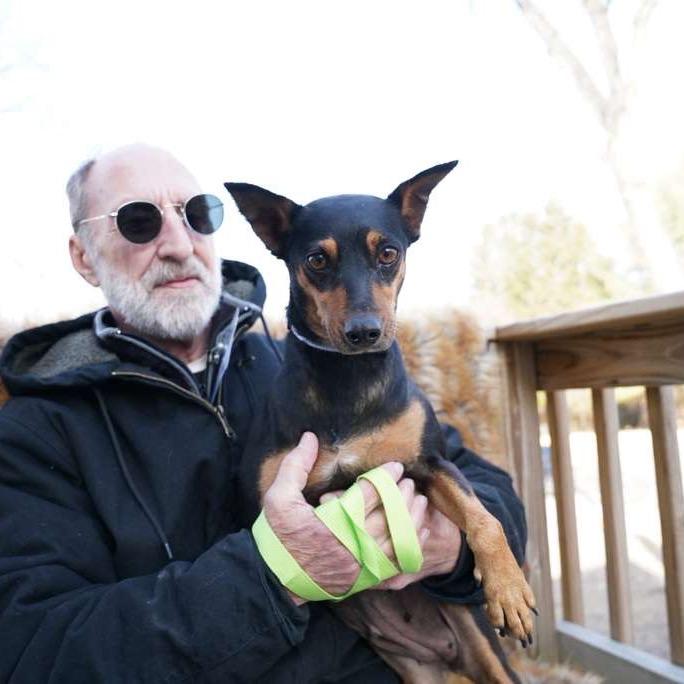 Enlarge JILSON., a Adoptable mixed breed in Atco, NJ image 1/6