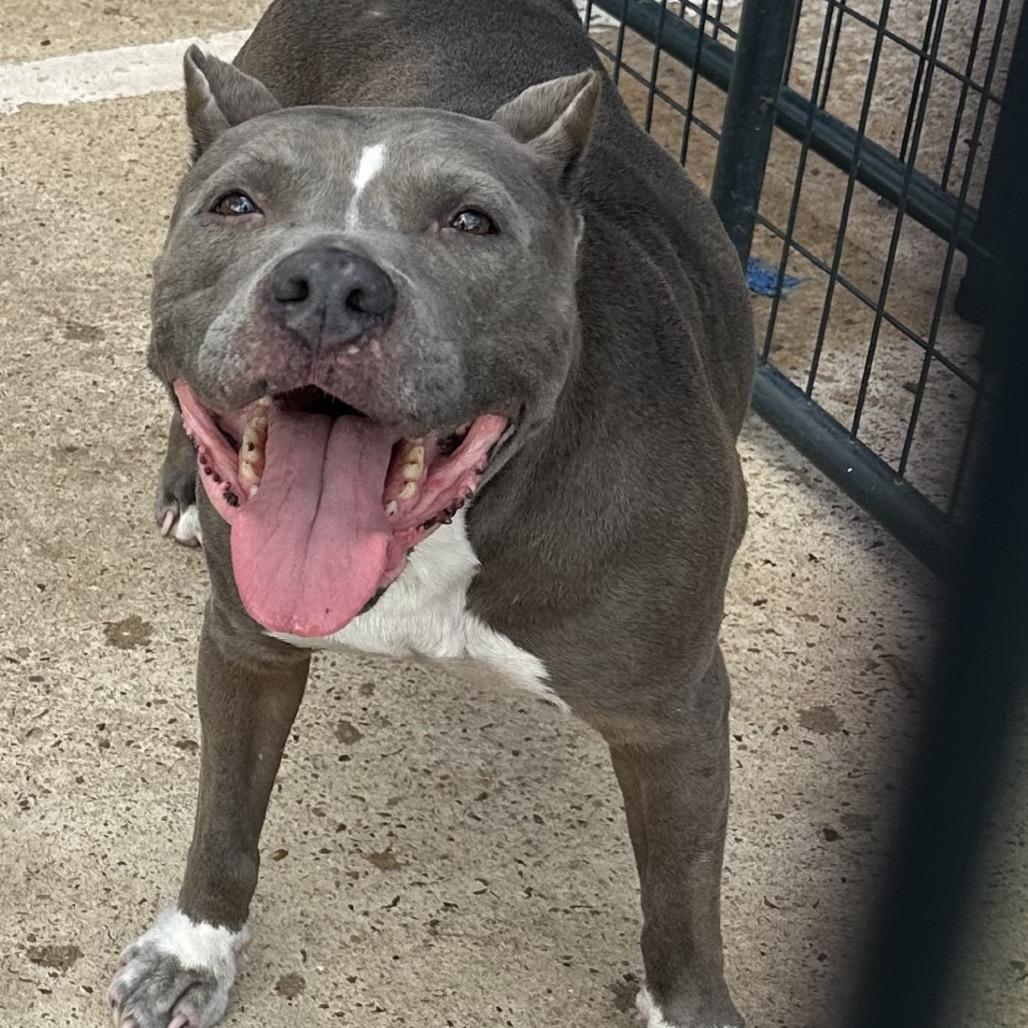 Diamond — thumbnail 2