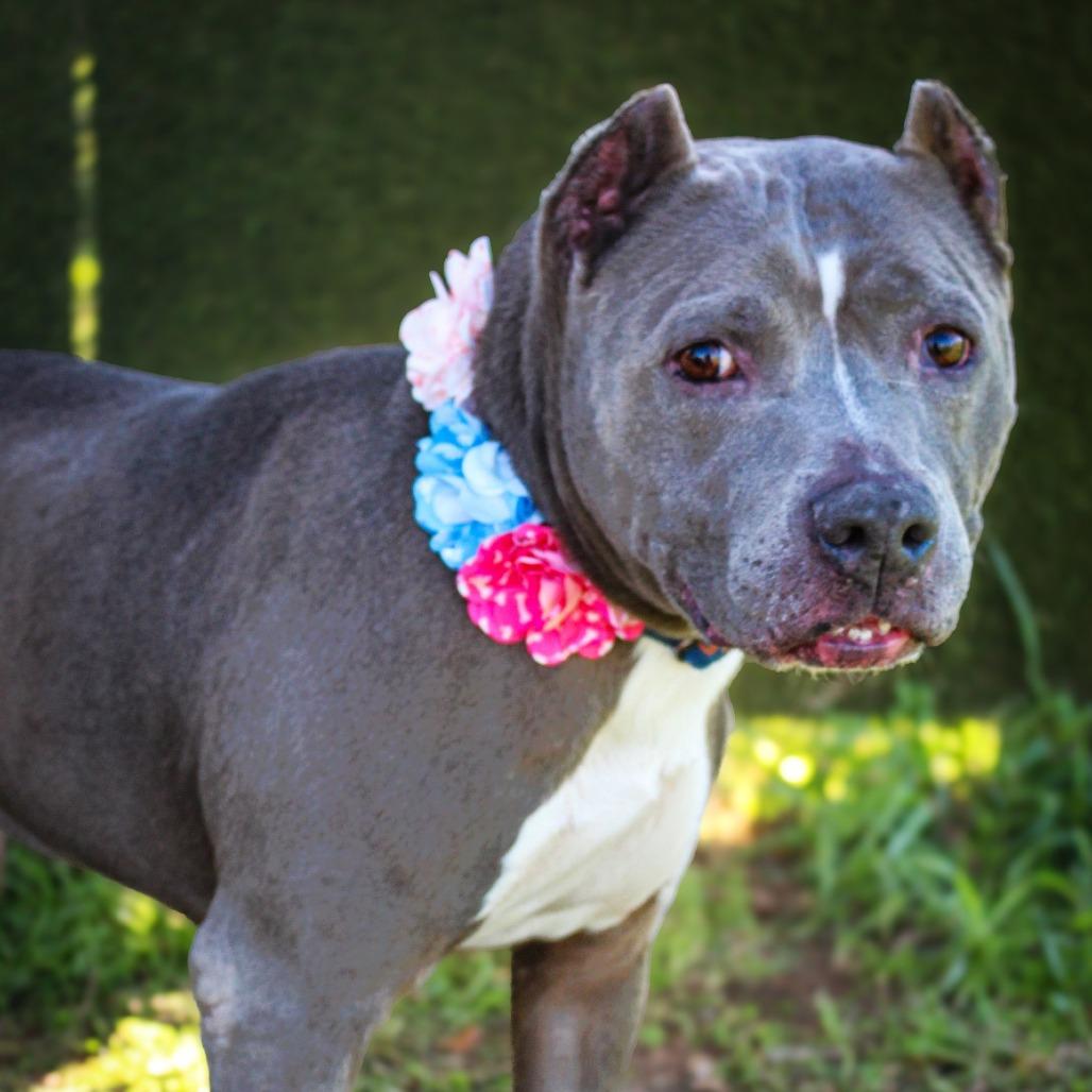 Diamond — thumbnail 3