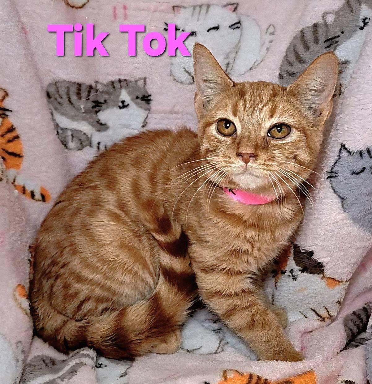 Tik Tok
