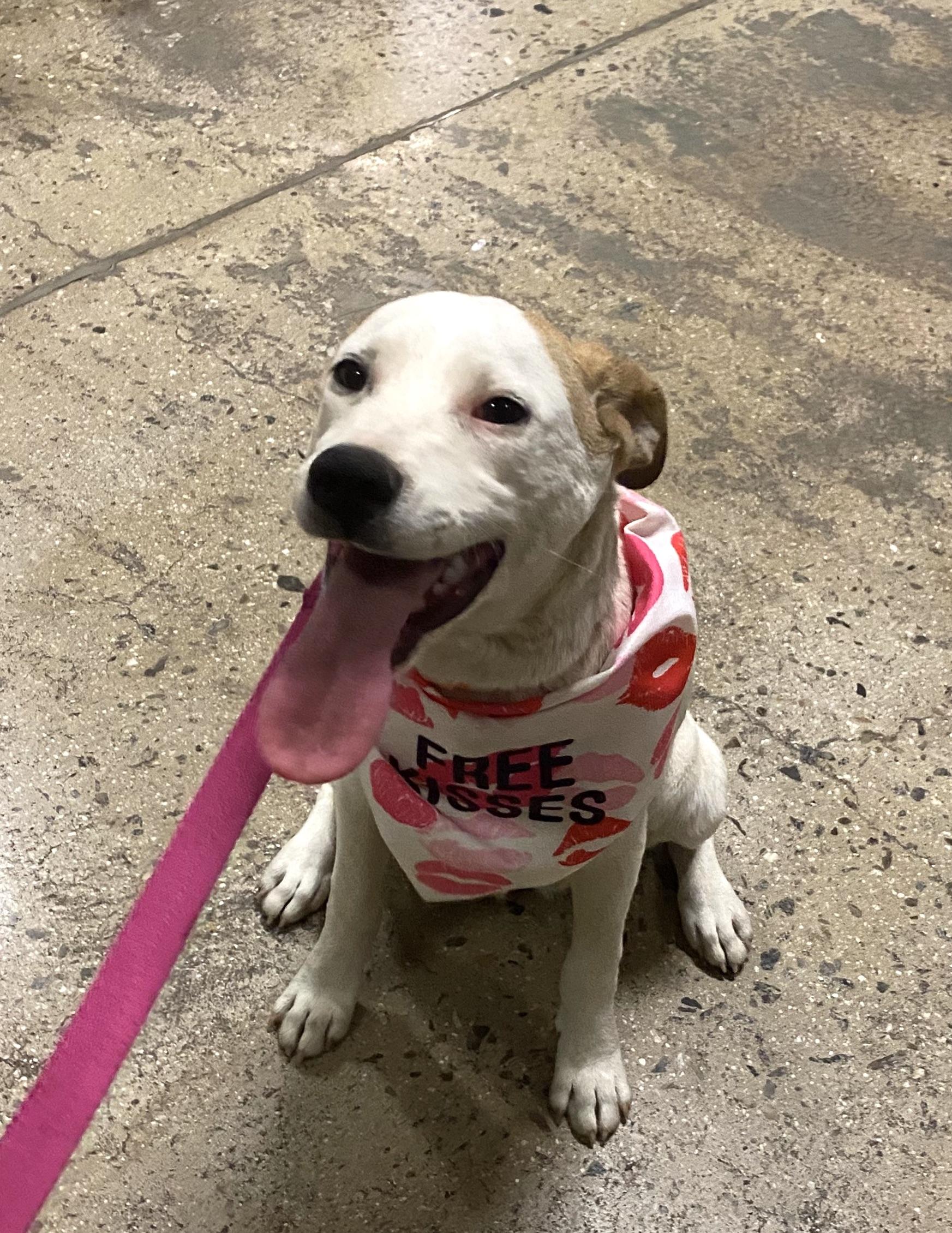 Renata(2) — thumbnail 3