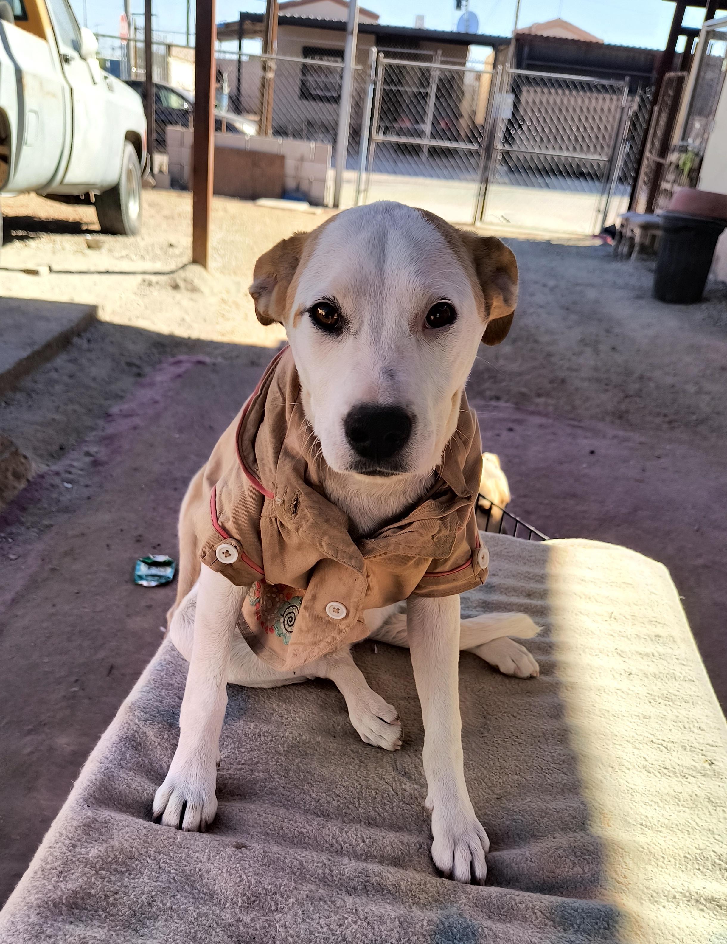 Renata(2) — thumbnail 4