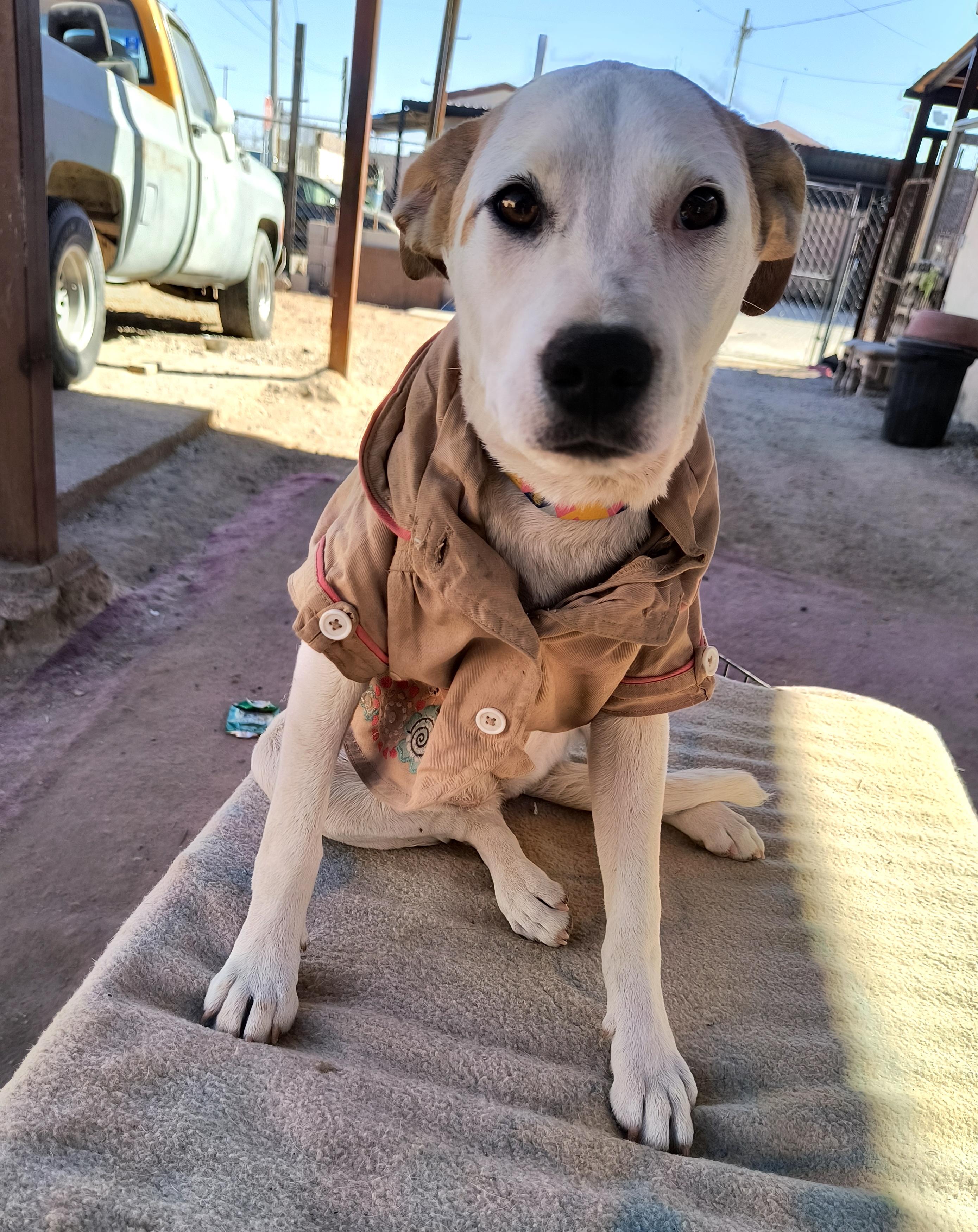 Renata(2) — thumbnail 5