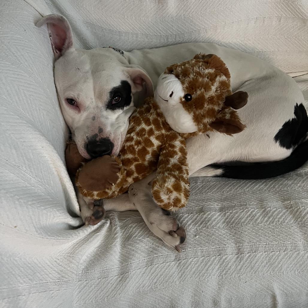 Cleopatra thumbnail 2