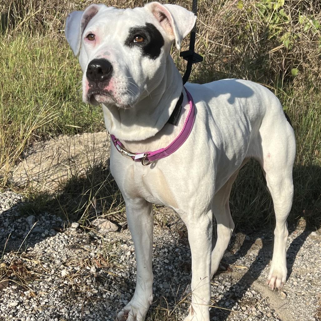 Cleopatra thumbnail 3