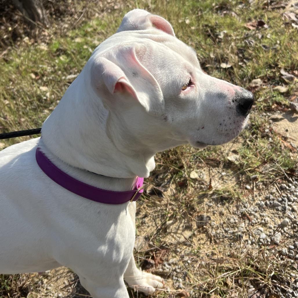 Cleopatra thumbnail 6