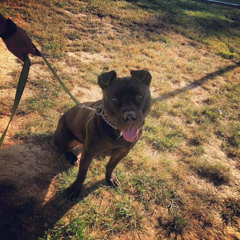 Jax photo 4